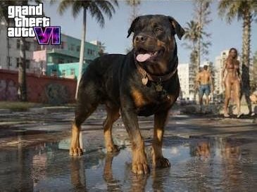 gta6dog
